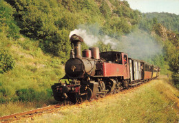 Lamastre * La Ligne Chemin De Fer Du Vivarais , Tournon Lamastre * Le Train à Vapeur - Lamastre