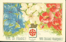 CP CPA Carte Patriotique Vive La France Vive L'Alsace Française Fleurs Bleu Blanc Rouge Armoiries Mulhouse CAD Rixheim - Unclassified