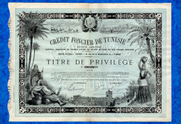 T-CFR Crédit Foncier De Tunisie 1891 -titre De Privilège  RARE - Banco & Caja De Ahorros