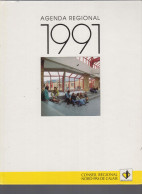 Agenda 1991 Région Nord Pas-de Calais Photos Des Conseillers Régionaux , Liste Des Communes, Une Photo Par Semaine.Lille - Grossformat : 1991-00