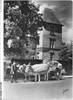 AGEP3-64-0279 - MAULEON - Basses-pyrénées - L'hôtel D'andurain - Détail - Et Attelage Béarnais - Mauleon Licharre