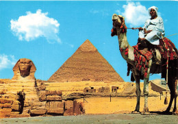 EGYPTE - Giza - Le Grand Sphinx Et Pyramide De Chéphren - Vue Générale - Dromadaire - Homme - Carte Postale - Gizeh