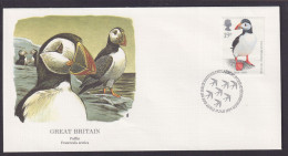 Großbritannien Fauna Vögel Lund Schöner Künstler Brief - Lettres & Documents