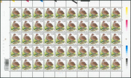 Collection / Collectie BUZIN (Oiseaux / Vogels) - Feuille F3478** (MNH) Planche, Plaatnummer 1 Date 2005 - 2001-2010