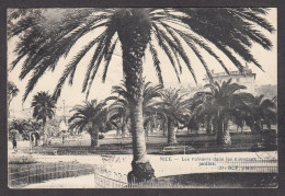 084531/ NICE, Les Palmiers Dans Les Nouveaux Jardins - Parks