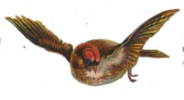 Decoupi Oiseau - Animaux