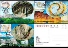 China Maximum Card 2024-4 World Natural Heritage Site - Chengjiang Fossil Site - Cartes-maximum