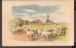 Texel - Den Hoorn - 1957 Met Schaapskudde En Herder - Illustrator Langbroek - Texel