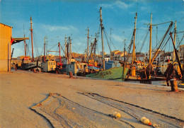 11 PORT LA NOUVELLE    En Flanant Sur Le Port         (Scan R/V) N°   21   \MR8078 - Port La Nouvelle