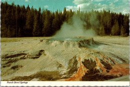 7-5-2024 (4 Z 28) USA  - Yellowstone Geyser - Yellowstone