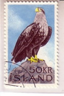 ISLAND MI-NR. 399 GESTEMPELT(USED) VÖGEL 1966 SEEADLER - Used Stamps