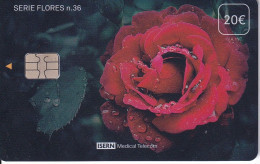 ISN-382 TARJETA DE ISERN DE LA SERIE FLORES Nº36 (FLOR-FLOWER-ROSA) - Bloemen