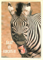 Animaux - Zèbres - Carte à Message Ou Humoristique - CPM - Carte Neuve - Voir Scans Recto-Verso - Zebras