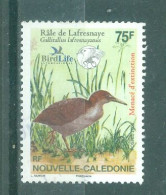 NOUVELLE-CALEDONIE - N°980 Oblitéré - Faune. Oiseaux De Nouvelle-Calédonie En Voie De Disparition. - Gebruikt