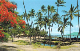 1 AK Hawaii / Big Island Of Hawaii * Kahaluʻu Beach Park An Der Küste Von Keauhou * - Big Island Of Hawaii