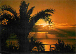 Espagne - Espana - Islas Canarias - Gran Canaria - Playa Del Inglés - Amanecer - Coucher De Soleil - CPM - Voir Scans Re - Gran Canaria