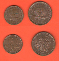 Papua Nuova Guinea 1 + 2 Toea New Guinea Bronze Coin - Papua New Guinea