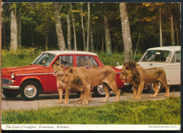 °°° 30913 - UK - THE LIONS OF LONGLEAT , WARMINSTER - 1968 With Stamps °°° - Other & Unclassified