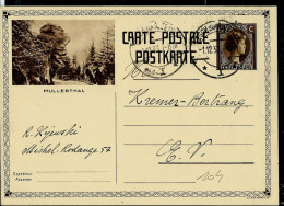 Carte Illustrée N° 104. Vue : MULLERTHAL  - Obl. ESCH/ALZETTE  01/12/1930 - Stamped Stationery