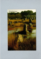 Carnac (56) : Les Alignements - Dolmen & Menhirs