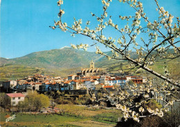 66 Prats-de-Mollo-la-Preste  Haut Vallespir   (Scan R/V) N°   17   \MT9129 - Ceret