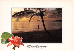 97  MARTINIQUE  Plage Des Salines   (Scan R/V) N°   30   \PB1108 - Le Marin