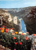 07  Grottes De La Madeleine Rocher Et Cathédrale       (Scan R/V) N°   14   \PB1105 - Vallon Pont D'Arc