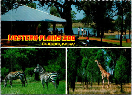 9-5-2024 (4 Z 33) Australia - NSW - Dubbo Western Plain Zoo - Dubbo