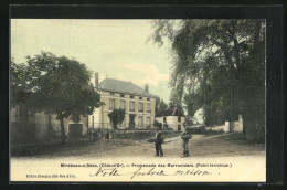 CPA Mirebeau-sur-Bèze, Promenade Des Marronniers (Point Terminus)  - Mirebeau