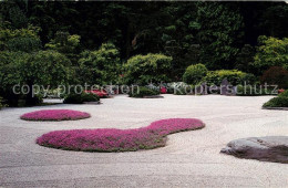 73061448 Portland_Oregon Flat Garden With Dianthus Tiny Rubies - Andere & Zonder Classificatie