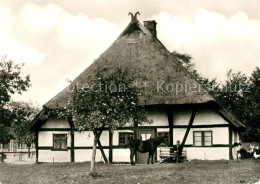 73139582 Klockenhagen Denkmalhof Pferd Klockenhagen - Ribnitz-Damgarten