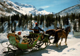 CPM - SIL-MARIA - Schlittenfahrt Ins Fextal (Balade à CHEVAL Traîneau Dans La Vallée De Fex) - Edition Hans Steiner - Sils Im Engadin/Segl