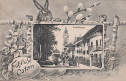 AK, Solothurn, Fröhliche Ostern  ⵙ Wabern 6.lV.12, Zum: 123lll, Mi: 113lll, Tell Knabe - Soleure