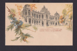 Ungarn Litho Ganzsache 2 Kreuzer Budapest Renaissance Palast - Lettres & Documents