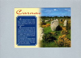 Carnac (56) : Les Menhirs De Carnac - Dolmen & Menhirs