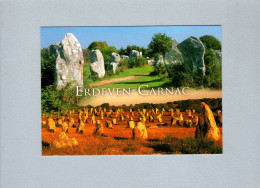 Erdeven Et Carnac (56) : Les Alignements De Kerzerho (Erdeven) Et Du Ménec (Carnac) - Dolmen & Menhirs