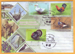 2018 Moldova Moldavie  FDC Poultry In Moldova. Birds. Turkey. Duck. Goose. Cock. - Boerderij