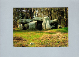 Carnac (56) : Un Dolmen - Dolmen & Menhirs