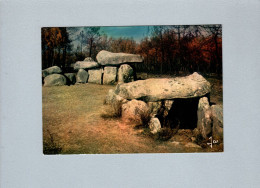 Carnac (56) : Dolmen De Mané Kerioned - Dolmen & Menhirs