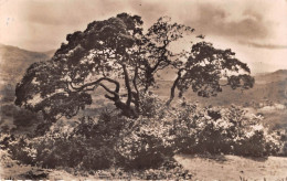 Guinée Française  CONAKRY Dans Les Environs De Conakry Carte Rare (scan Recto-verso) OO 0956 - Französisch-Guinea