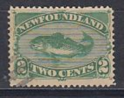 Canada New Foundland 1865 Codfish 2 Cents Used (59749A) - 1865-1902