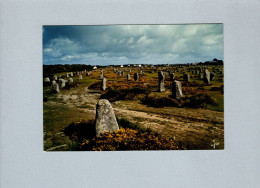 Carnac (56) : Les Alignements Du Ménec - Dolmen & Menhirs