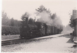 Tr. Naar Heidenreichstein. Neunagelberg Grenze. Photo, No Postcard 14 X 9,5 Cm. * - Gmünd