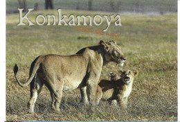 Kafue National Park . Konkamoya Lodge. Postcard - Sambia