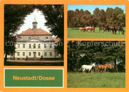 73099391 Neustadt Dosse VE Hauptgestuet Schloss Stuten Mit Fohlen Neustadt Dosse - Neustadt (Dosse)