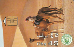 PHONE CARD EMIRATI ARABI  (CZ2407 - United Arab Emirates