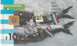 PHONE CARD PAESI BASSI CHIP (CZ2090 - Publiques