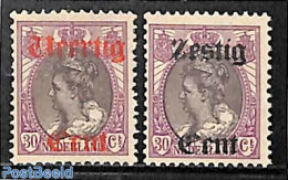 Netherlands 1919 Overprints 2v, Mint NH - Nuovi