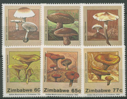Simbabwe 1992 Speisepilze Steinpilz Pfifferling 476/81 Postfrisch - Zimbabwe (1980-...)
