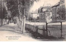 BARCELONNETTE - Avenue Porfirio Diaz - Très Bon état - Barcelonnette